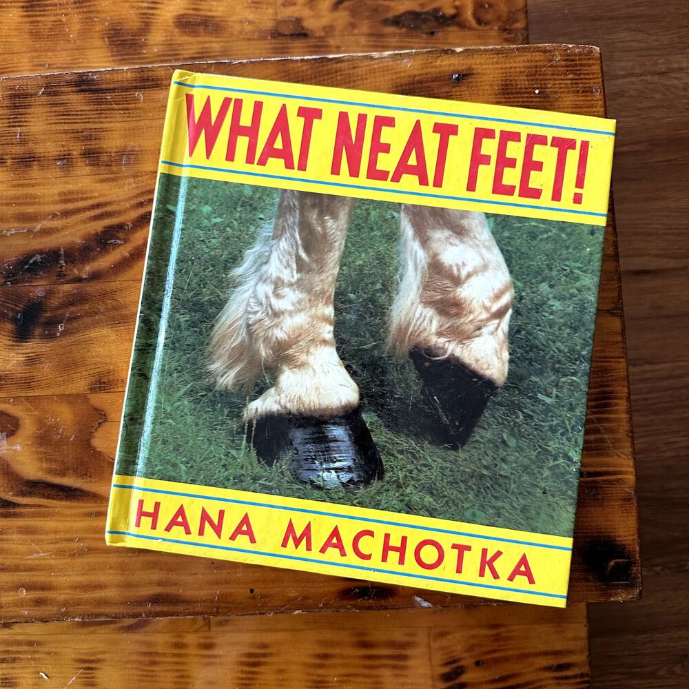 Vintage 1991 What Neat Feet! Hardcover Book